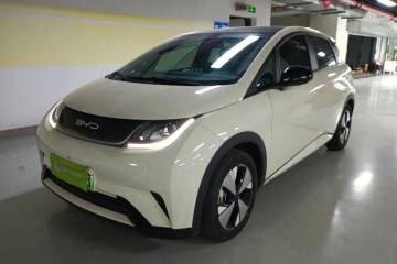 Used BYD Dolphin 2023 420 km Fashion Edition