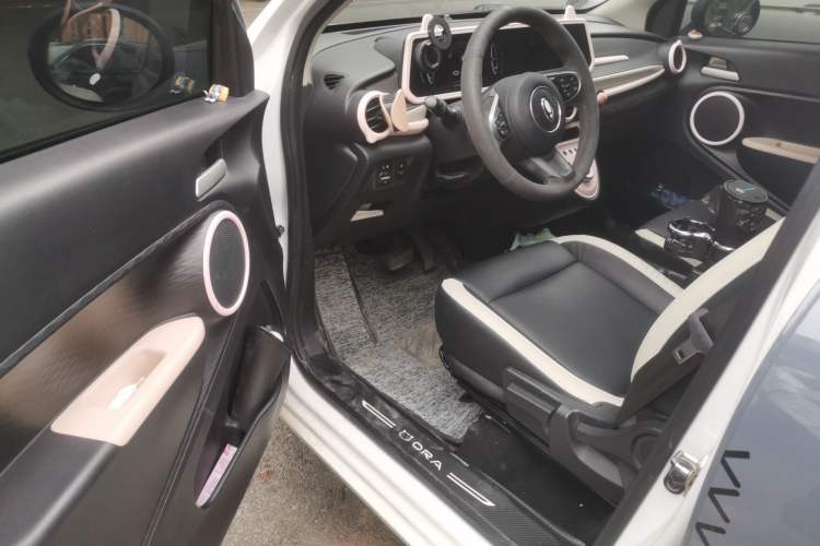 Used ORA Black Cat 2022 351 km Range Comfort Version Ternary Lithium