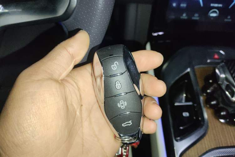 Used Hongqi E-HS9 2022 660 km Range Flagship Edition Four Seats
