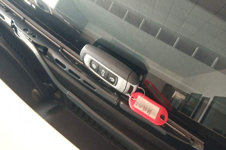 Used  Panda 2025 210 km – Yuanqi Bear
