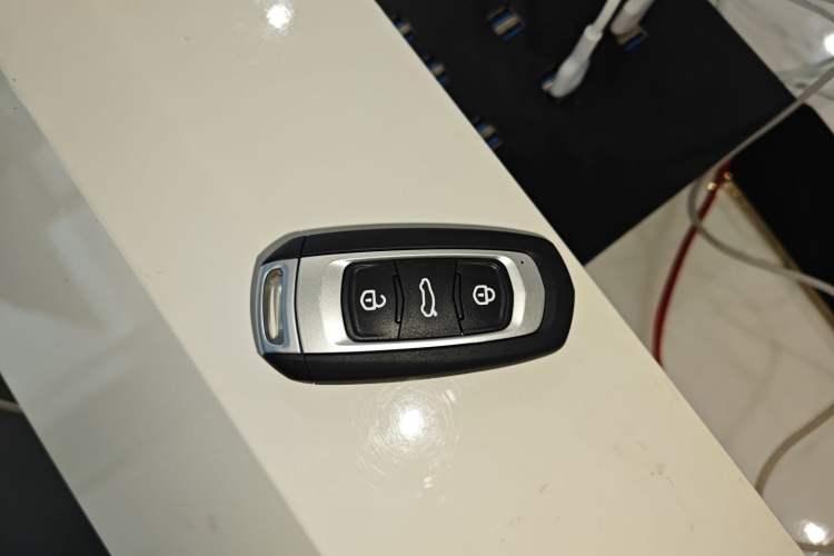 Used  Panda 2025 210 km – Yuanqi Bear