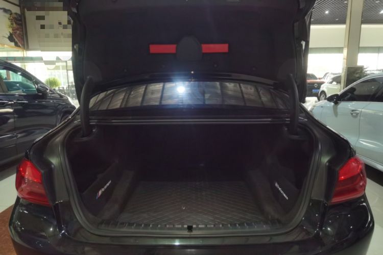 Used BMW 5 Series 2019 530Li Leading Model Luxury Package
