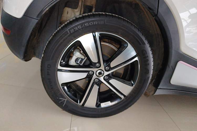 Used  #1 2024 Dynamic Standard Edition