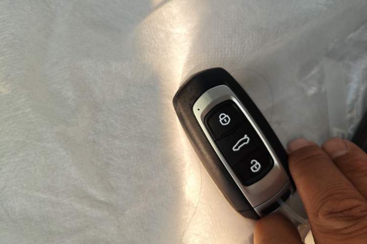 Used  Panda 2025 210 km – Yuanqi Bear
