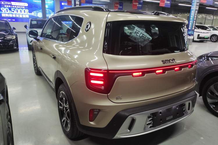 Used  #5 2025 Ultra-Long Range Luxury Four-Wheel Drive Edition