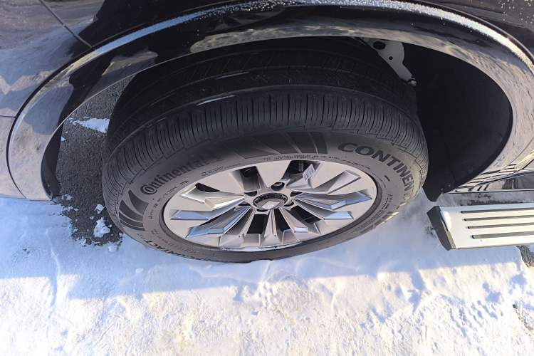 Used Tank 500 New Energy 
