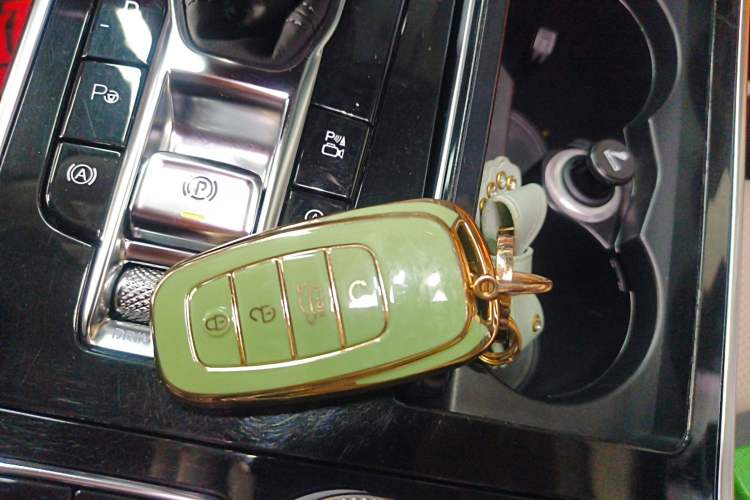 Used Hongqi H9 2020 3.0T Smart Connect Flagship Four-Seat Version