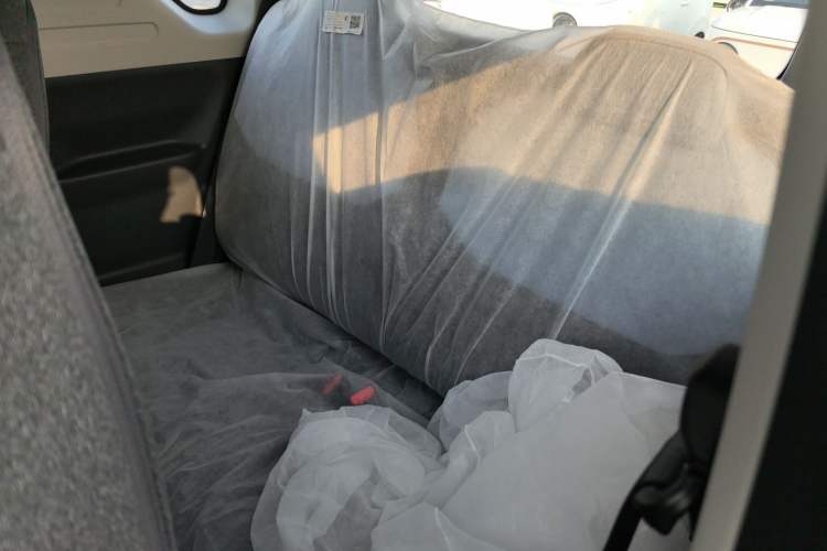 Used  Panda 2024 Panda Mini 200km Endurance Bear
