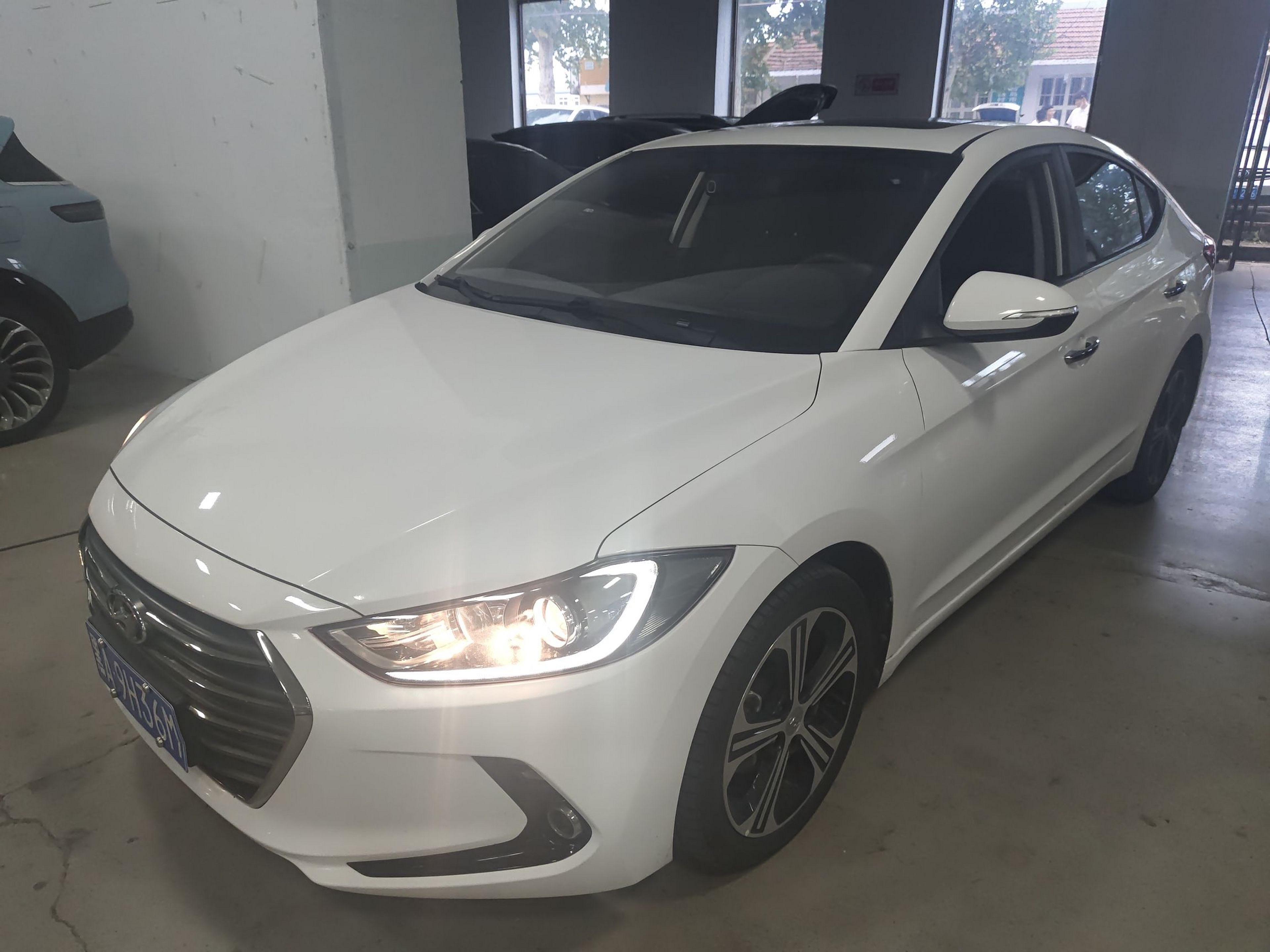 تحت مقدمة السيارة