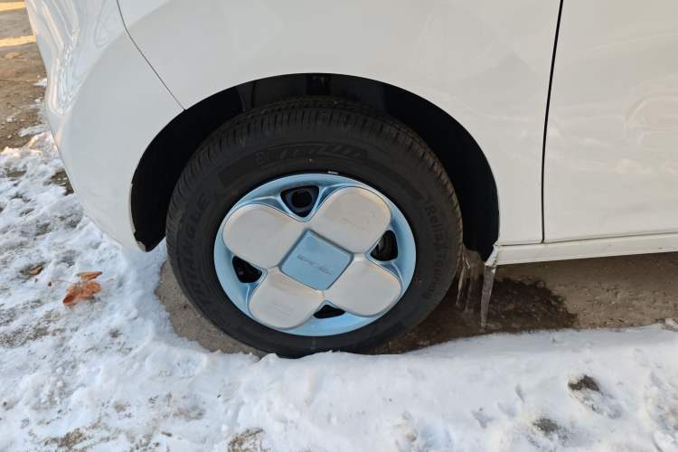 Used  Panda 2024 Panda Mini 200km Endurance Bear