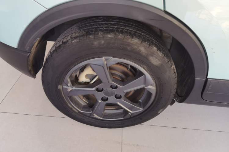 Used Geometry E Firefly 2022 401 km Linglong Tiger 4 Seats
