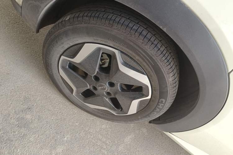 Used BYD Dolphin 2024 Honor Edition 420km Freedom Version