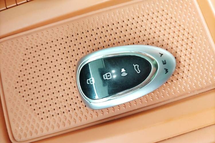 Used Wey Lanshan 2025 Four-Wheel Drive Ultra
