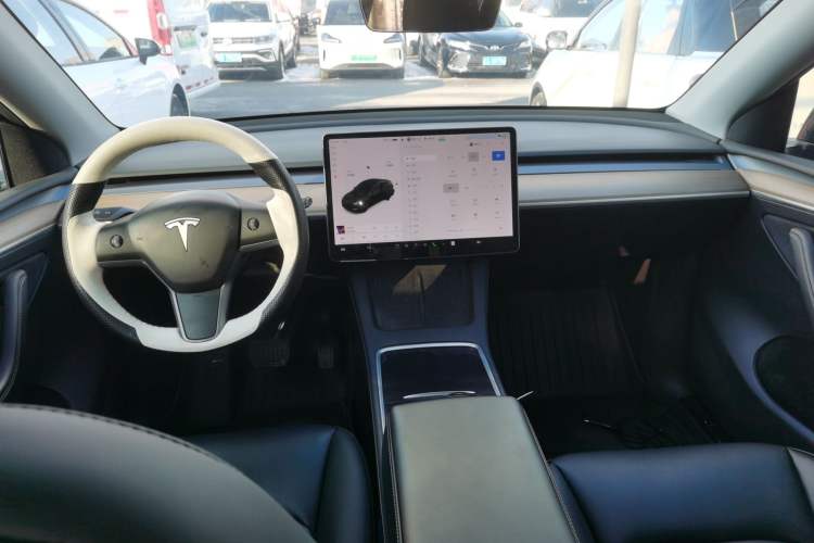 Used Tesla Model Y 2021 Standard Range Rear-Wheel Drive Version
