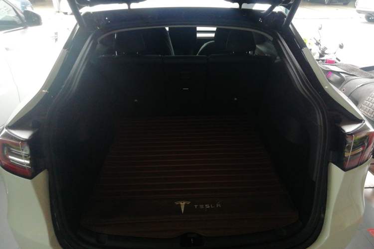 Used Tesla Model Y 2021 Standard Range Rear-Wheel Drive Version
