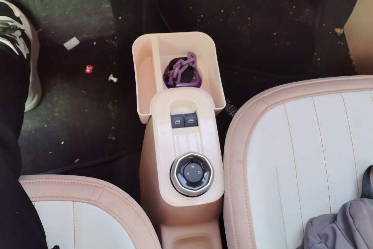 Used  Panda 2023 Panda Mini 200km Endurance Bear