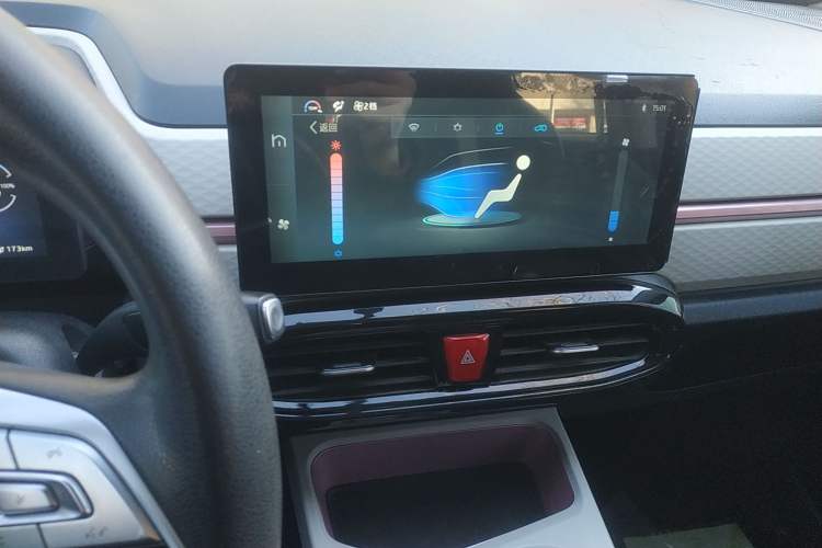 Used SOL E10X 2022 Flower Fairy Design Four-Leaf Clover