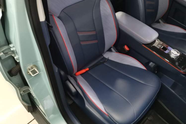 Used Geometry E Firefly 2022 401KM Lightning Tiger 4-Seater