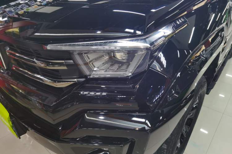 Used Tank 400 2025 2.0T Gasoline Version