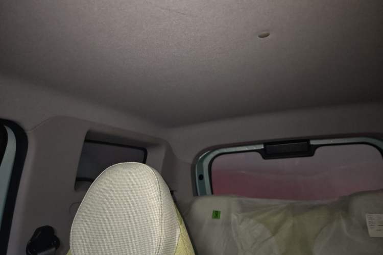 Used  Panda 2024 Panda Mini 200km Endurance Bear
