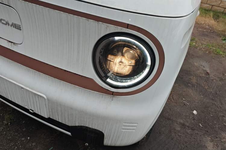 Used  Panda 2024 Panda Mini 200km Endurance Bear