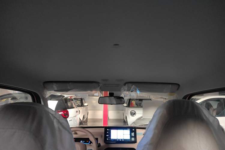 Used  Panda 2024 Panda Mini 200km Endurance Bear