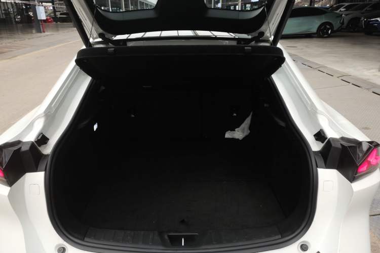 Used  L07 2024 230Max Range-Extended Version
