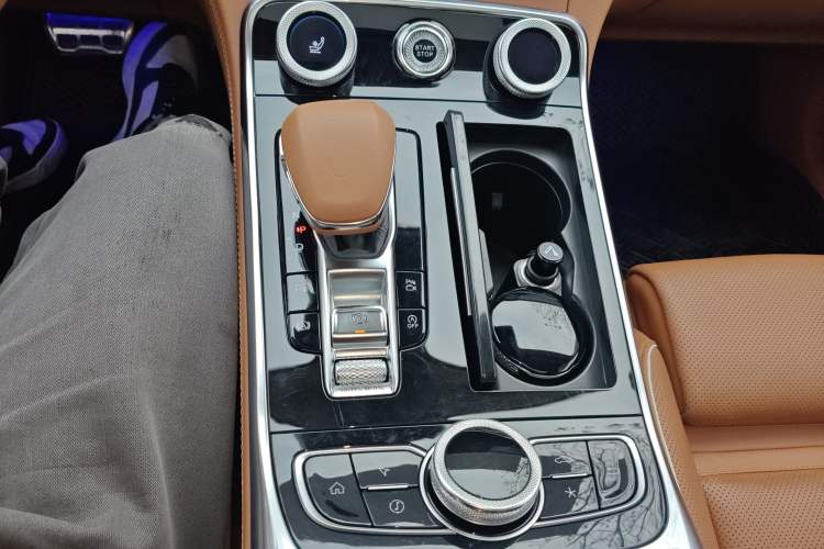 Used Hongqi H9 2020 2.0T Smart Connect Flagship Edition