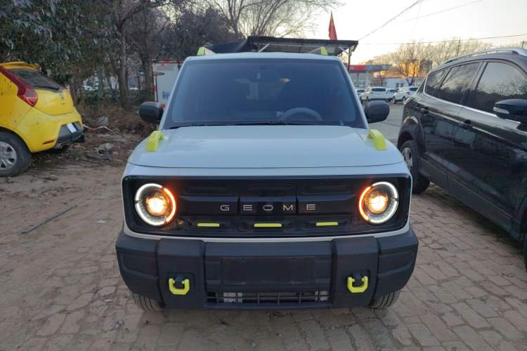 Used  Panda 2024 200km Panda Rider