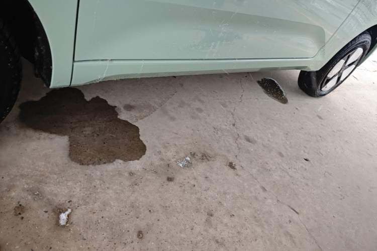 Used Wuling Hongguang MINIEV 2024 3rd Generation 215km Advanced Version