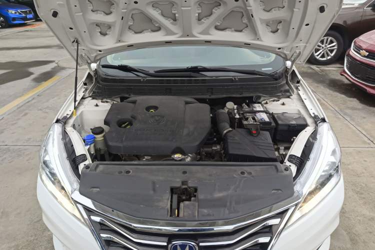 Used Changan Eado DT 2019 1.6L Manual Enjoyment Model China VI Standard
