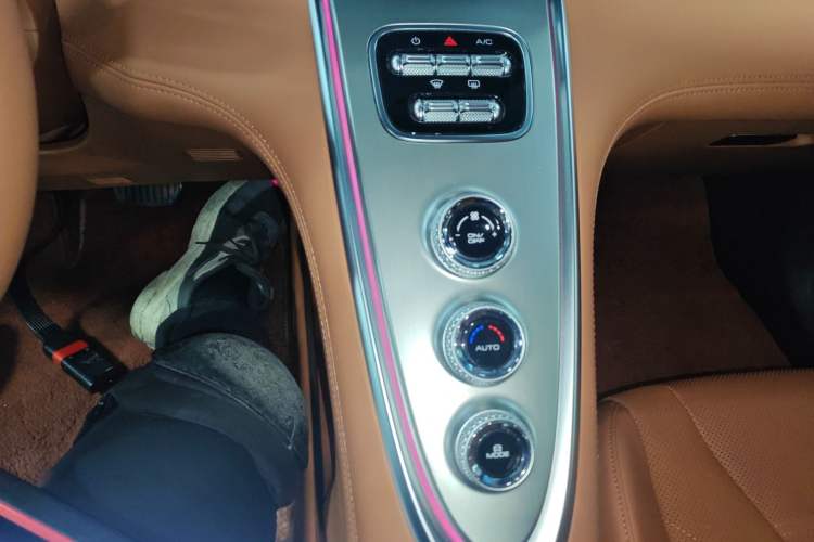 Used ORA Lightning Cat 2022 555 km Luxury Edition