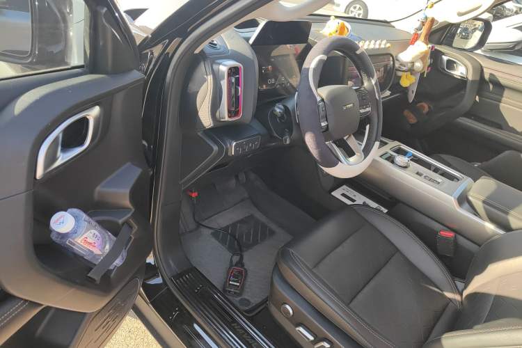 Used Haval DARGO 2024 2.0T DCT Chinese Rural Dog Edition