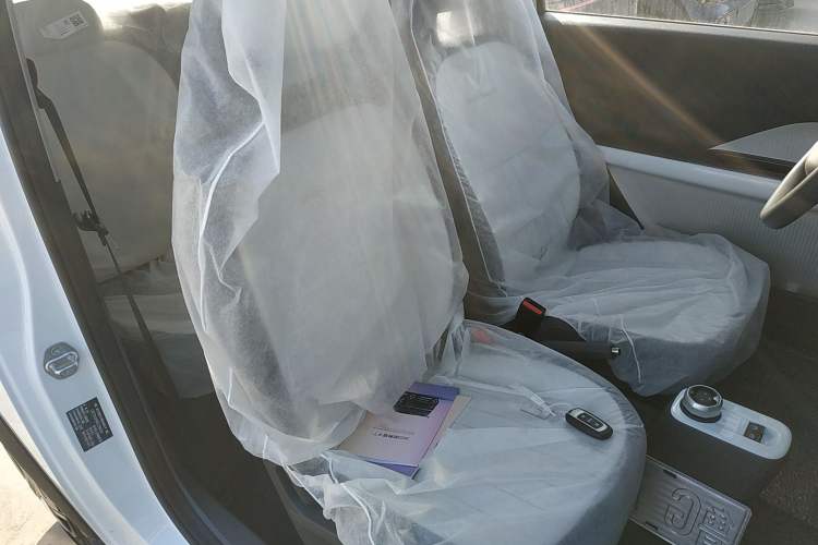 Used  Panda 2025 210km Panda Kart
