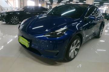 Used Tesla Model Y 2021 Long-Range All-Wheel-Drive Version 3D7