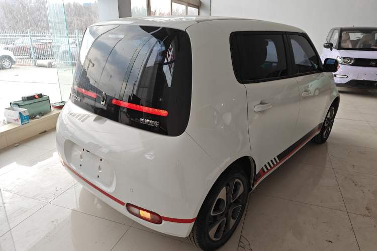 Used ORA White Cat 2020 305 km Luxury Version