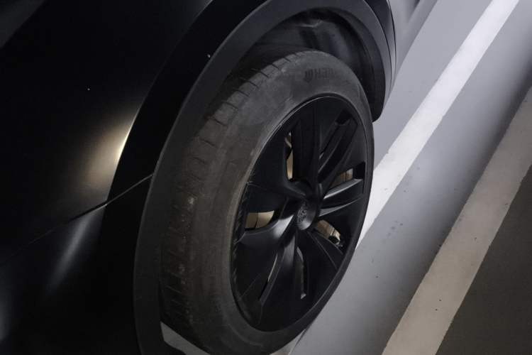 Used Tesla Model Y 2021 Long-Range All-Wheel-Drive Version
