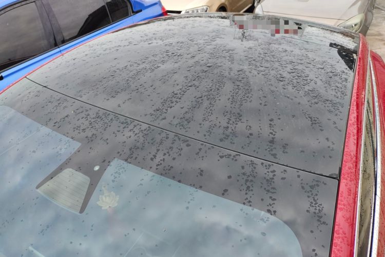 Used Tesla Model 3 2019 Standard Range Rear-Drive Upgraded Version