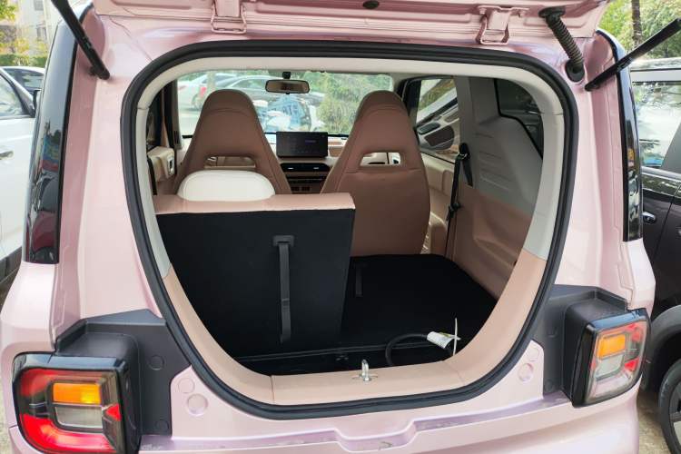 Used  Panda 2023 Panda Mini 200km Endurance Bear
