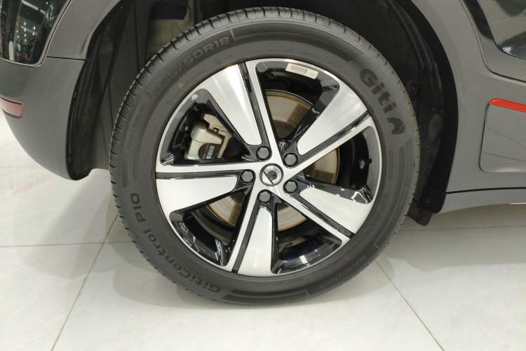 Used  #1 2024 Dynamic Standard Edition