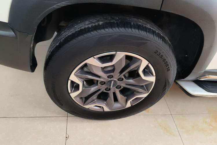 Used Haval DARGO 2021 2.0T DCT 4x4 Chinese Rural Dog Edition
