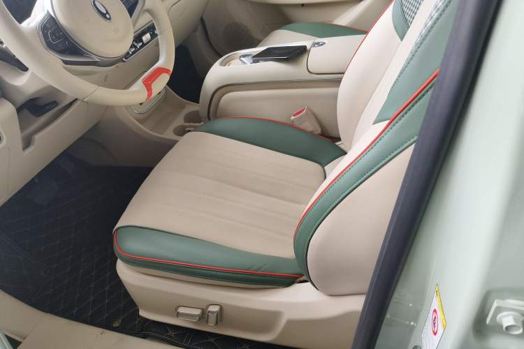 Used ORA Good Cat 2023 401 km Standard Range Luxury Version Lithium Iron Phosphate
