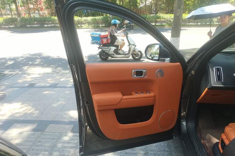 Used Li Auto L9 2023 Pro Model