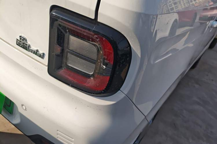 Used  Panda 2024 Panda Mini 200km Endurance Bear