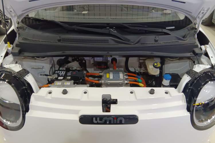 Used  Lumin 2022 210km Sweet Edition
