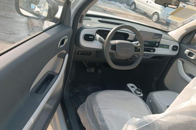 Used  Panda 2025 210 km – Yuanqi Bear
