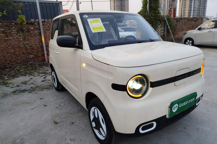 Used  Panda 2025 210 km – Yuanqi Bear

