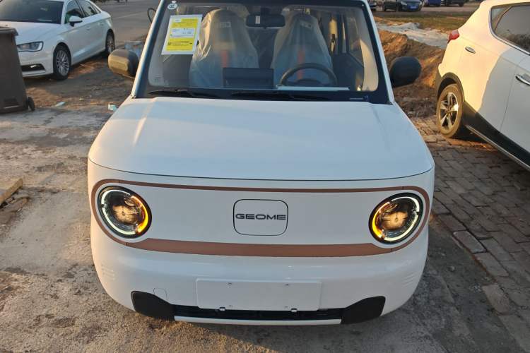 Used  Panda 2024 Panda Mini 200km Endurance Bear
