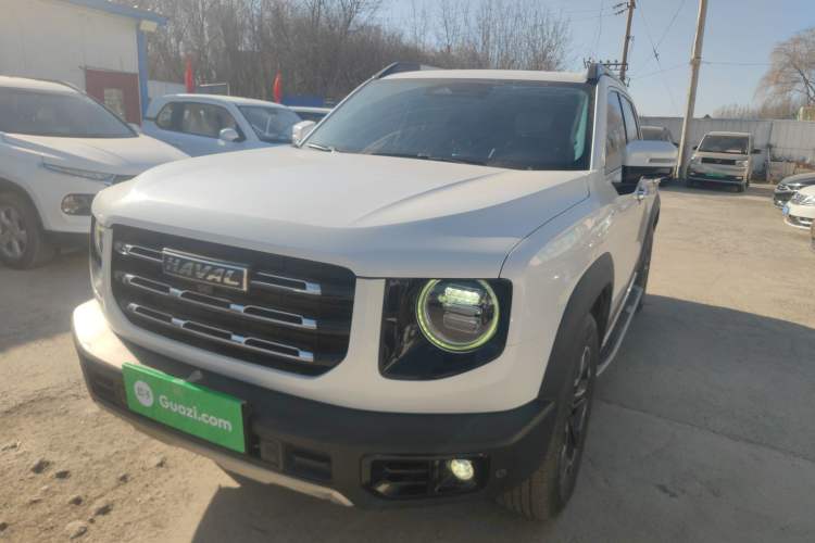 Used Haval DARGO 2021 2.0T DCT 4x4 Chinese Rural Dog Edition

