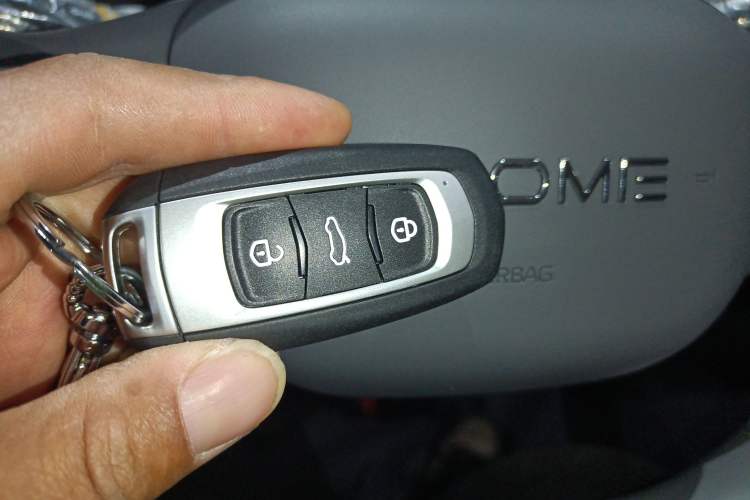 Used  Panda 2025 210 km – Yuanqi Bear